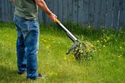 Sustainable Gardening: Exploring Effective Organic Weed Control Methods